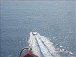 IMG_0772